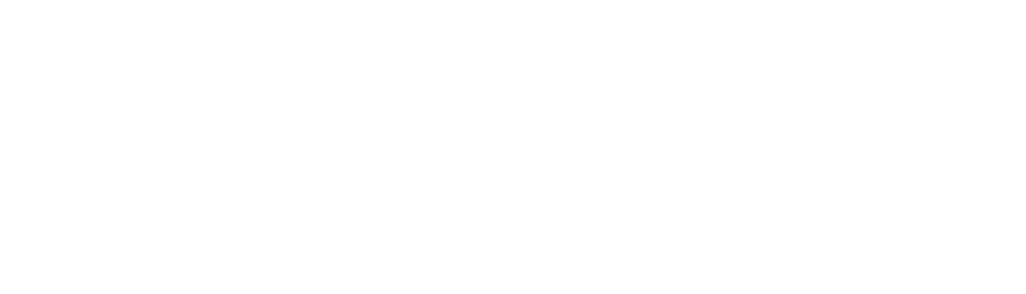 Bitknowledge logo